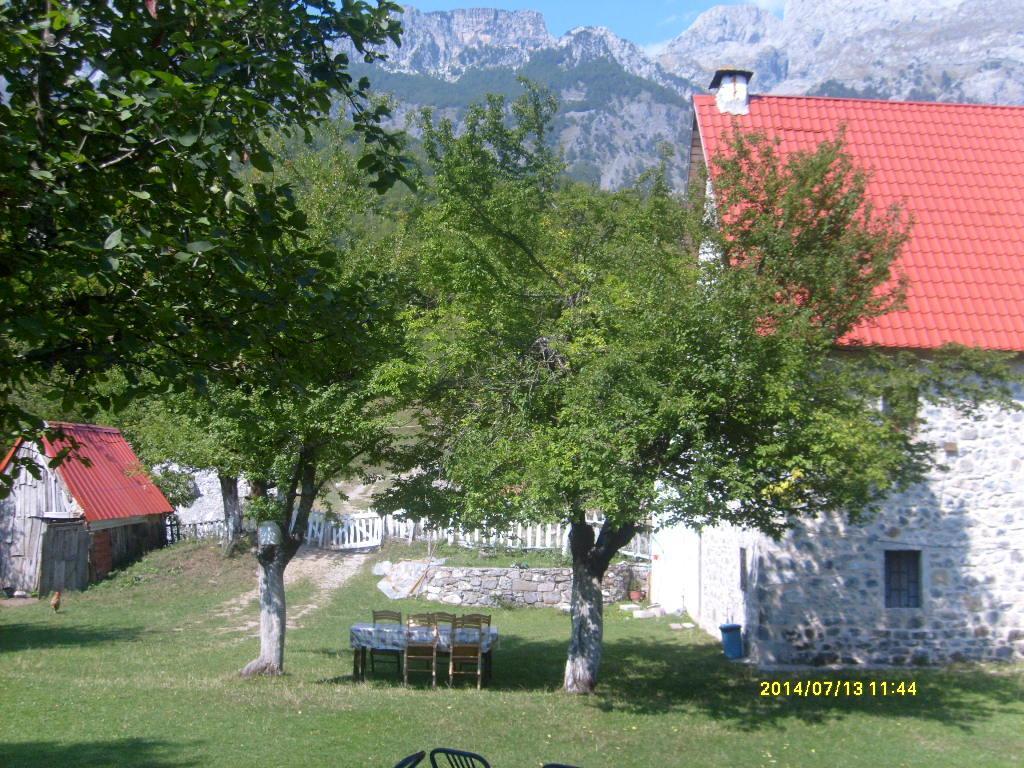 Guesthouse Dritan Tethorja Theth Extérieur photo
