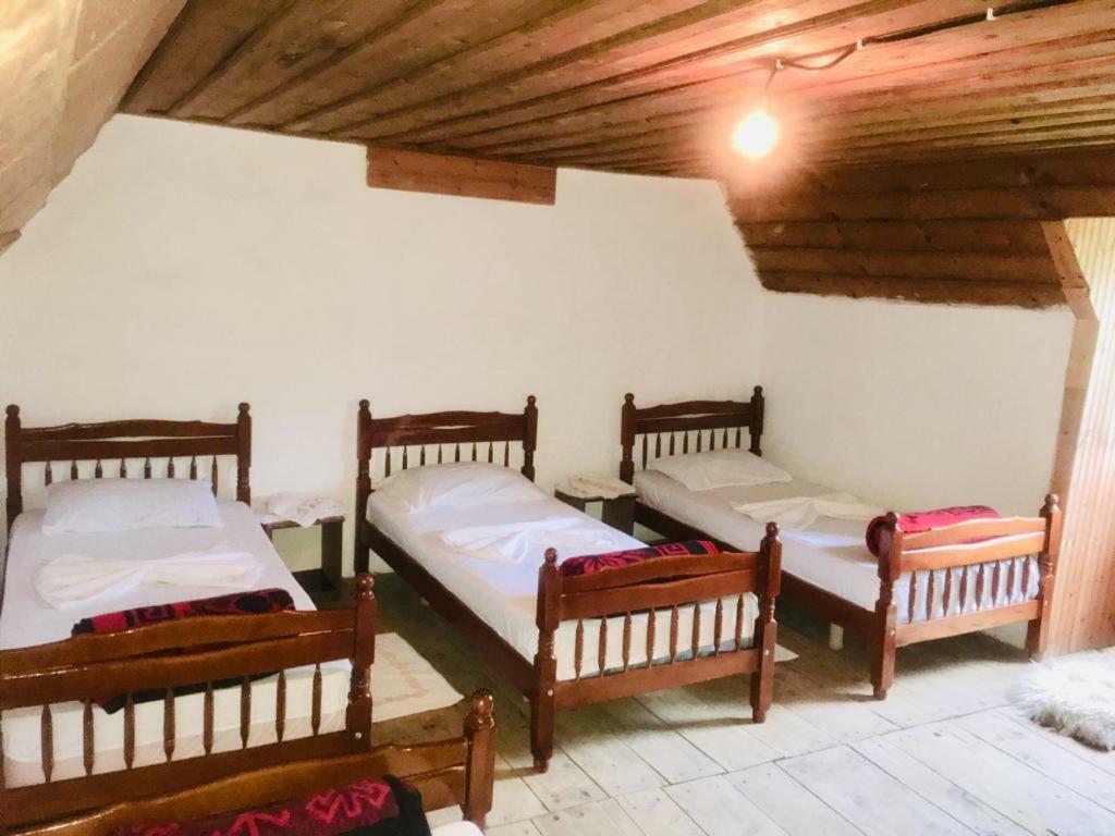 Guesthouse Dritan Tethorja Theth Extérieur photo